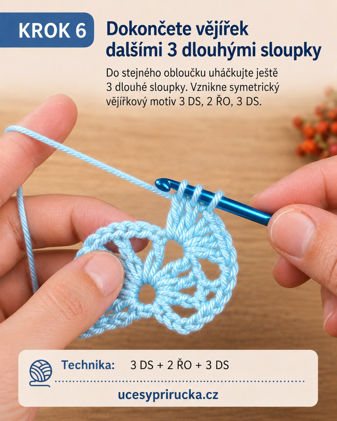 Tunisské Háčkování Vzor - Vějířková Krajka Krok Za Krokem